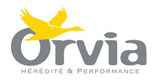 Orvia